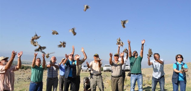 Seydişehir’de 400 keklik doğaya bırakıldı