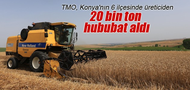 TMO, Konya’nın 6 ilçesinde üreticiden 20 bin ton hububat ürünü aldı