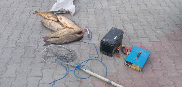 Beyşehir’de elektrik akımıyla balık avına 4 bin 650 lira ceza