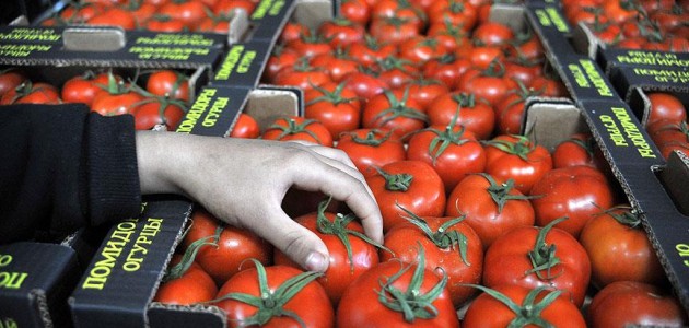 Rusya, domates ithalatı için tarih verdi