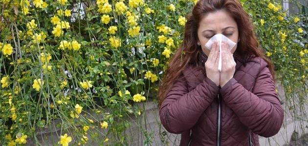 Türkiye’de 4 kişiden biri alerjik