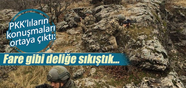 PKK’lının maillerinde ortaya çıktı: Fare gibi deliğe sıkıştık…