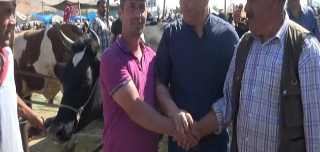 Mehmet Karahan hayvan pazarını gezdi
