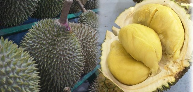 Endonezya’da duryan meyvesinin kokusu nedeniyle uçak rötar yaptı
