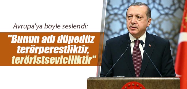 Cumhurbaşkanı Erdoğan: O çok sevdiğiniz teröristler silahlarını size çevirecekler