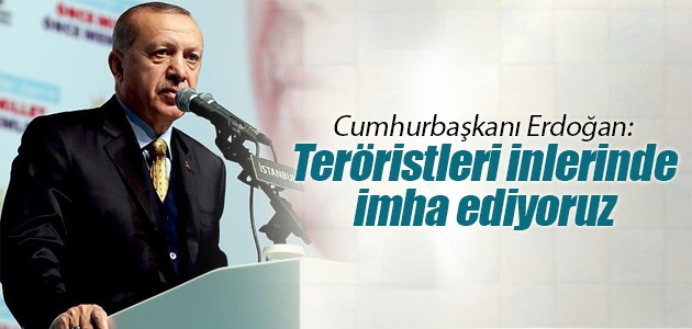 Cumhurbaşkanı Erdoğan: Teröristleri inlerinde imha ediyoruz