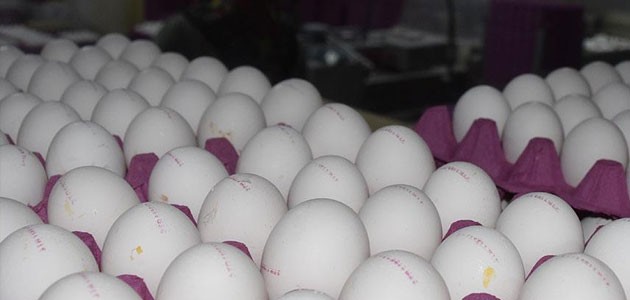 Yumurtadan 425 milyon dolar ’çıktı’