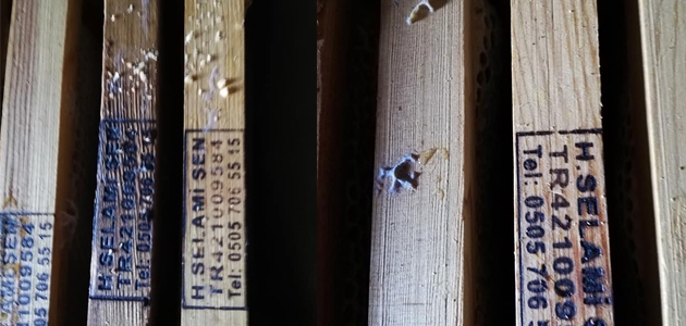 Konya’da arı kovanı hırsızlığı