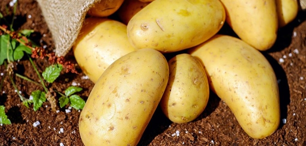 Konya patates üretiminde ikinci sırada