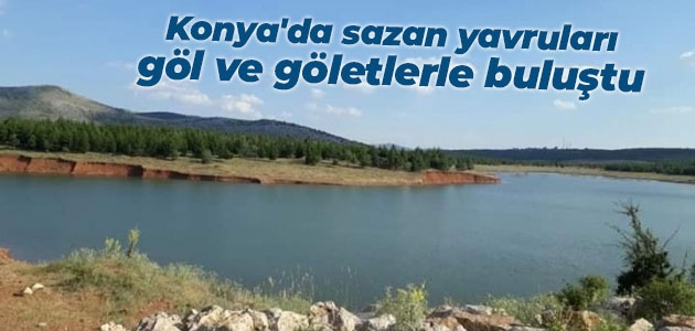 Konya’da sazan yavruları göl ve göletlerle buluştu