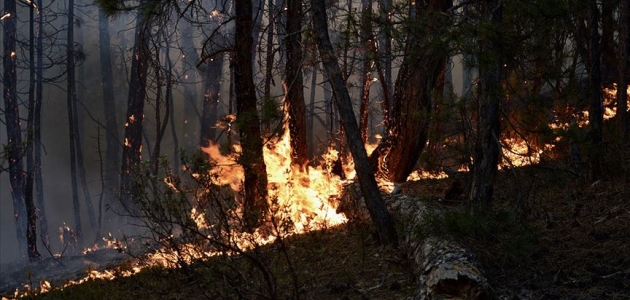 Eskişehir’deki orman yangını kontrol altında