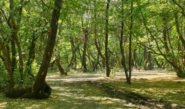 Antalya'da ormanlık alanlara giriş yasağı uzatıldı