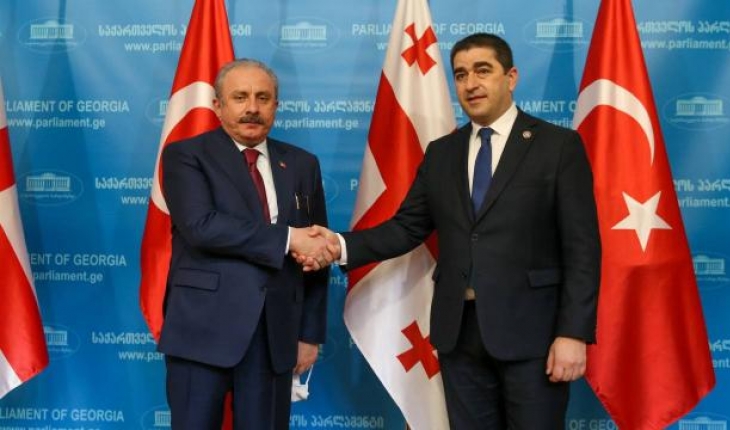 TBMM Başkanı Şentop, Gürcistan Parlamentosu Başkanı Papuashvili ile görüştü
