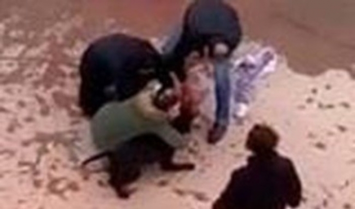 Minik Asiye’ye pitbull saldırısı davasında tahliye edilen sanıklar hakkında tutuklama kararı