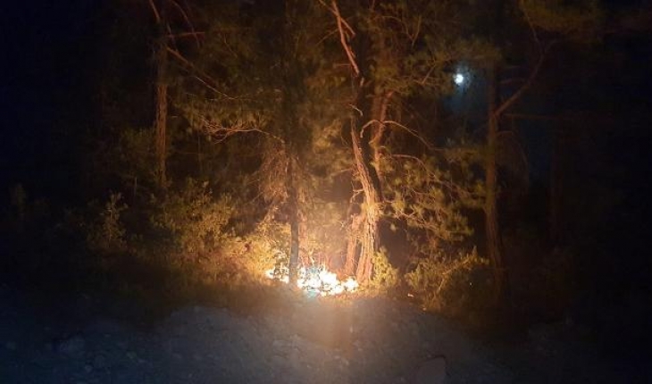 Adana Feke’deki orman yangınlarıyla ilgili 1 şüpheli tutuklandı