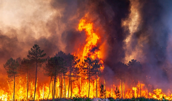Avrupa’daki orman yangınları 15 yıllık ortalamanın yaklaşık dört katına çıktı