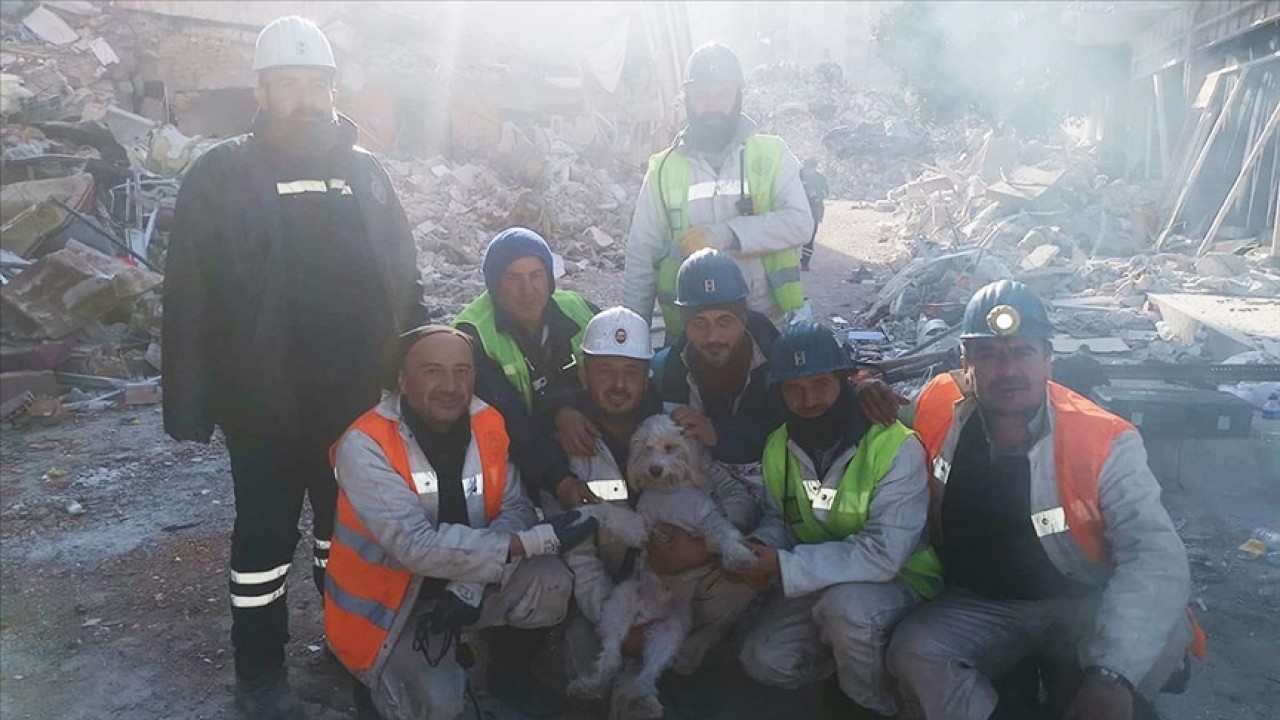 Hatay’da depremde hasar gören binada mahsur kalan köpeği madenciler kurtardı