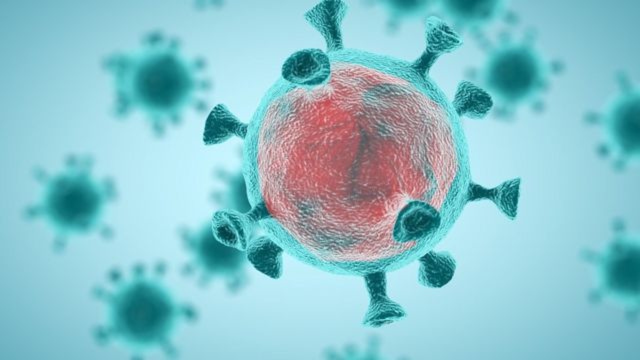 ABD: Kovid-19 virüsünün laboratuvardan sızıp sızmadığına ilişkin soruya 'kesin bir cevap' yok