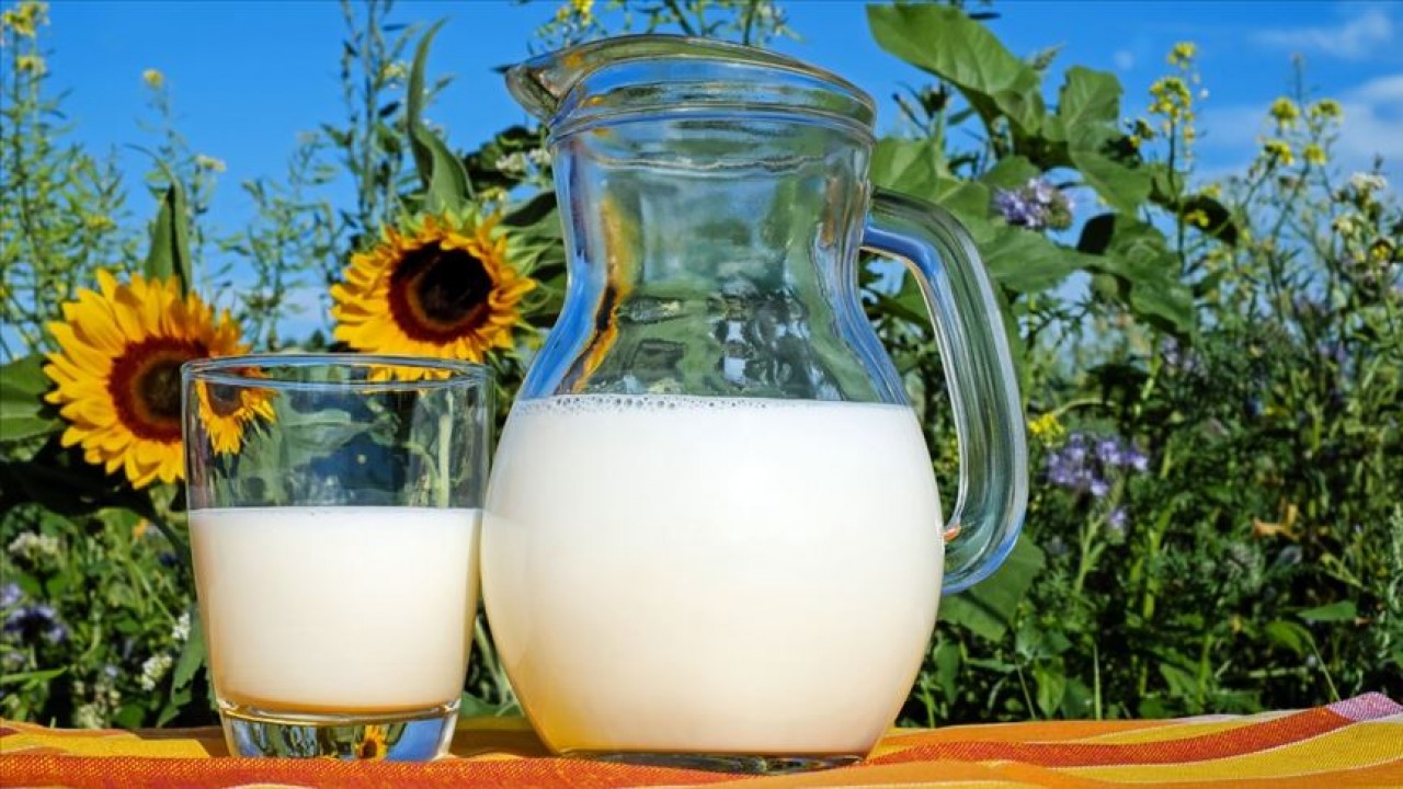 2022’de 21,6 milyon ton çiğ süt üretildi