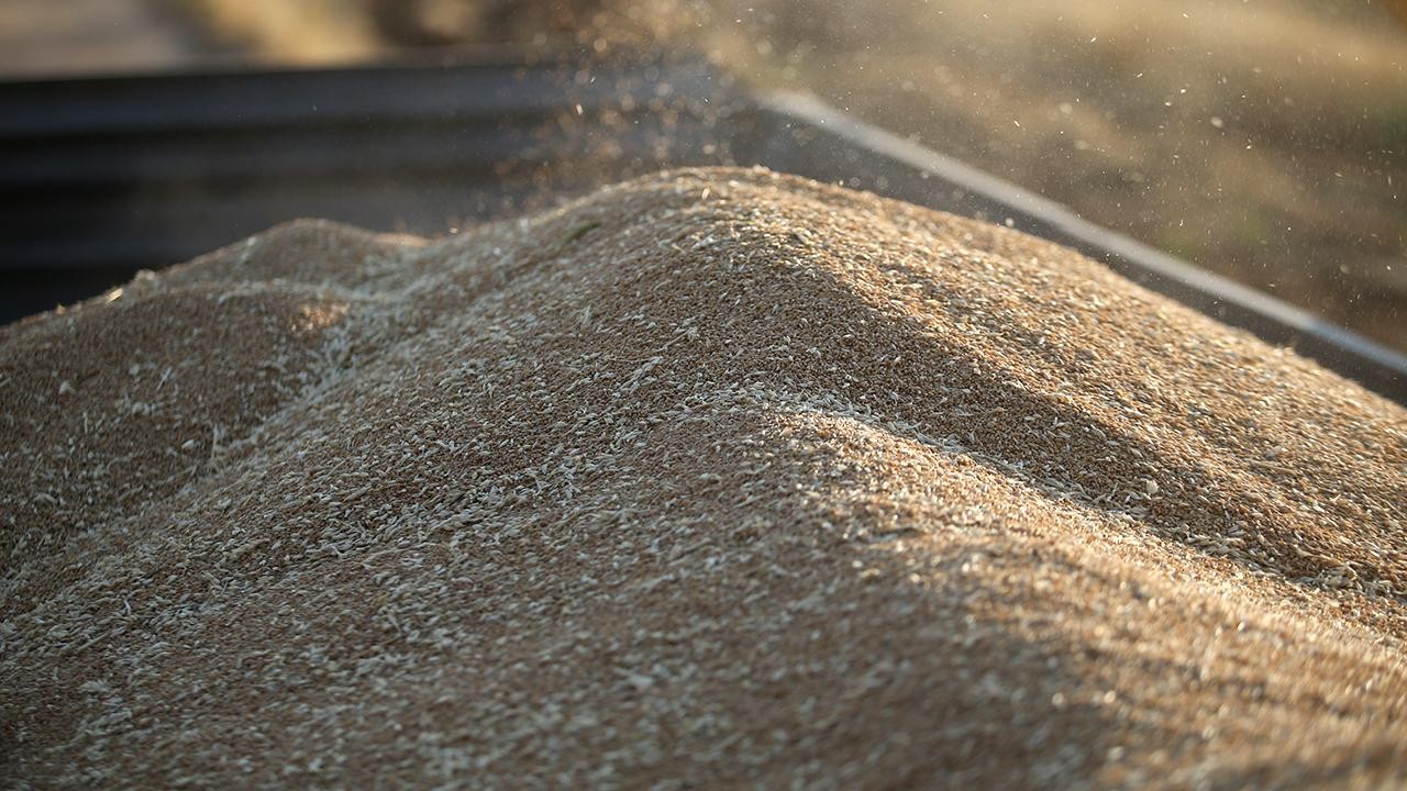 TMO, Gelibolu’da buğday ve arpa alımı yapacak