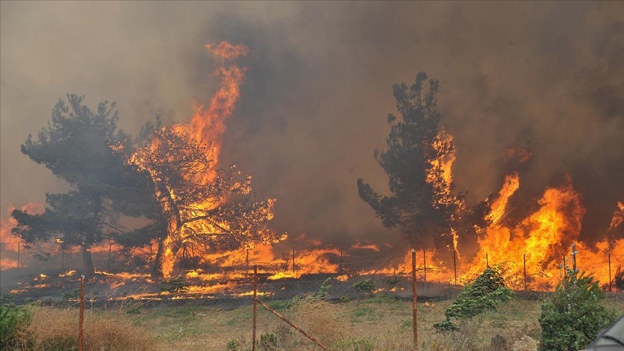 Türkiye’de geçen yıl çıkan orman yangınlarından 830’unun sebebi ihmal ve kazalar