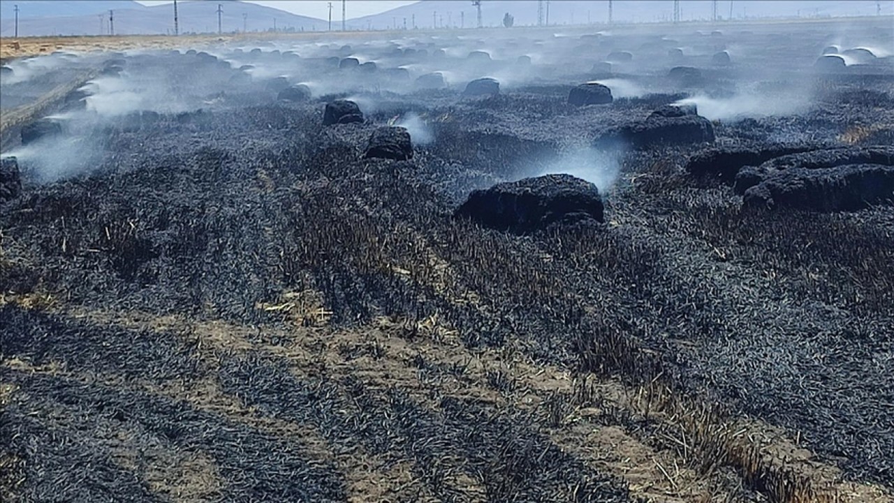 65 dekarlık tarım arazisi yangında küle döndü