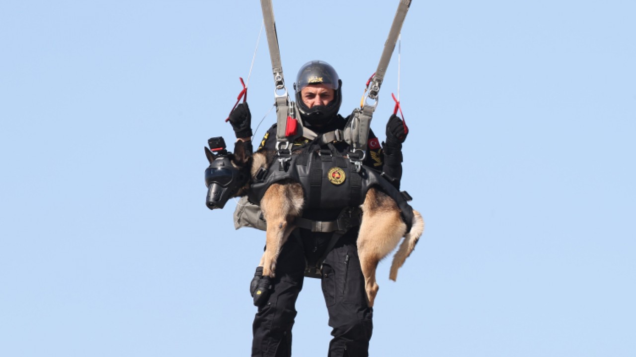 Jandarmanın arama kurtarma köpeği ’Maça’ zorlu operasyon bölgelerine paraşütle inecek