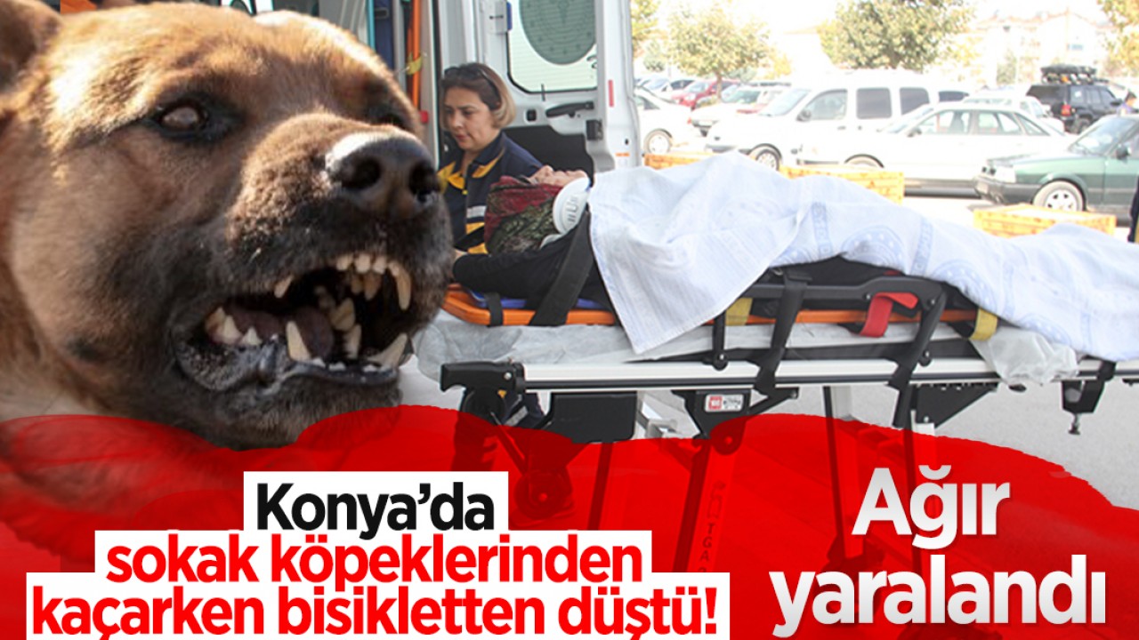 Konya'da sokak köpeklerinden kaçarken bisikletten düşen kadın ağır yaralandı