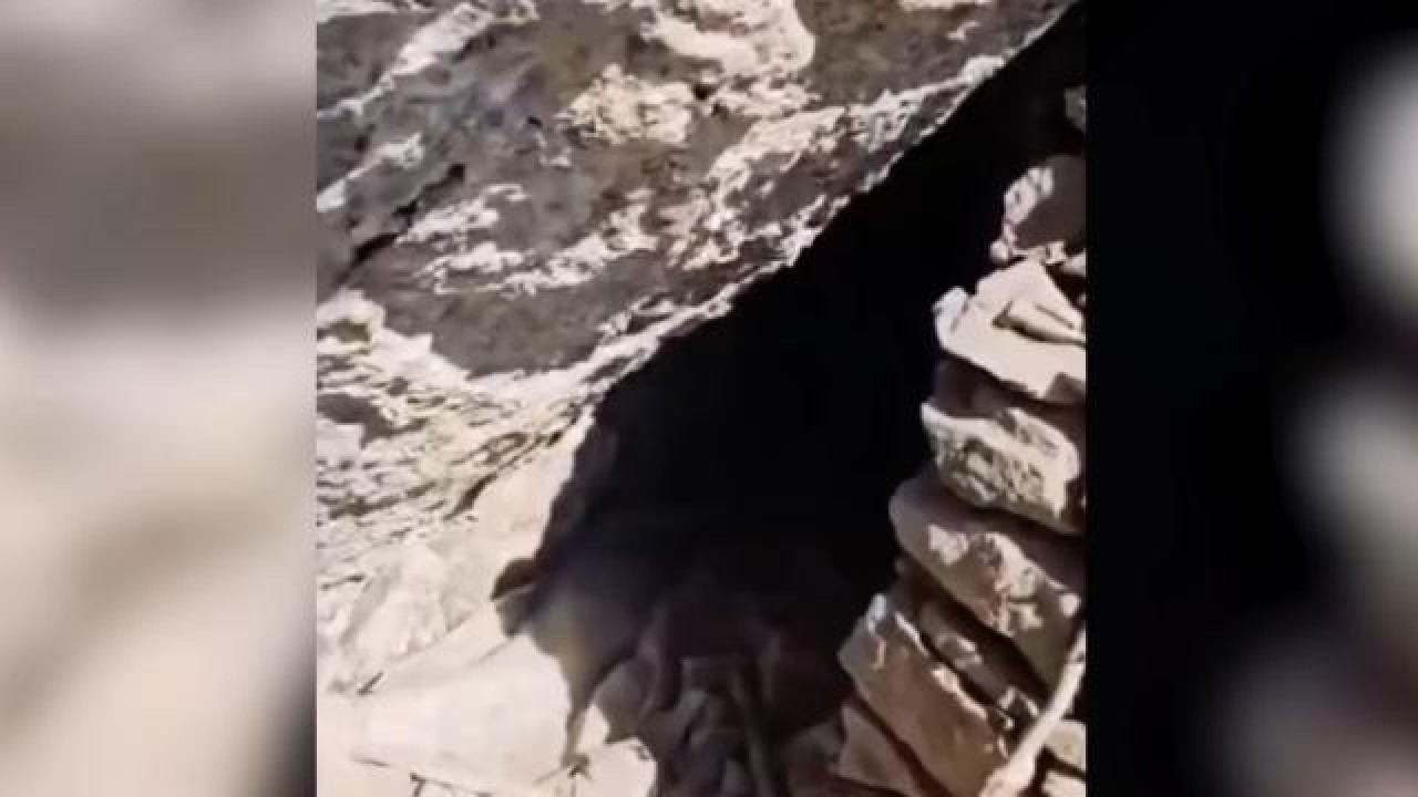 Irak’ın kuzeyinde teröristlerin kullandığı mağara ele geçirildi