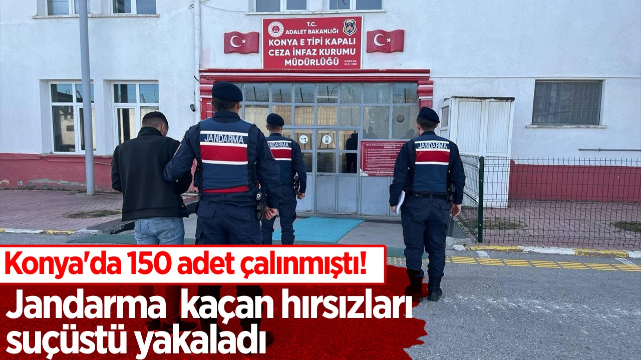 Konya'da 150 adet çalınmıştı! Jandarma kaçan hırsızları suçüstü yakaladı