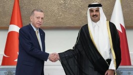 Cumhurbaşkanı Erdoğan Katar Emiri Al Sani ile görüştü