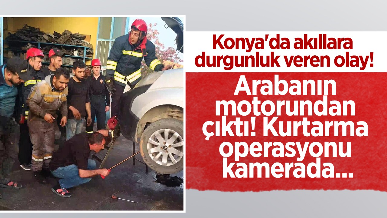 Konya'da akıllara durgunluk veren olay: Arabanın motorundan çıktı! Kurtarma operasyonu kamerada