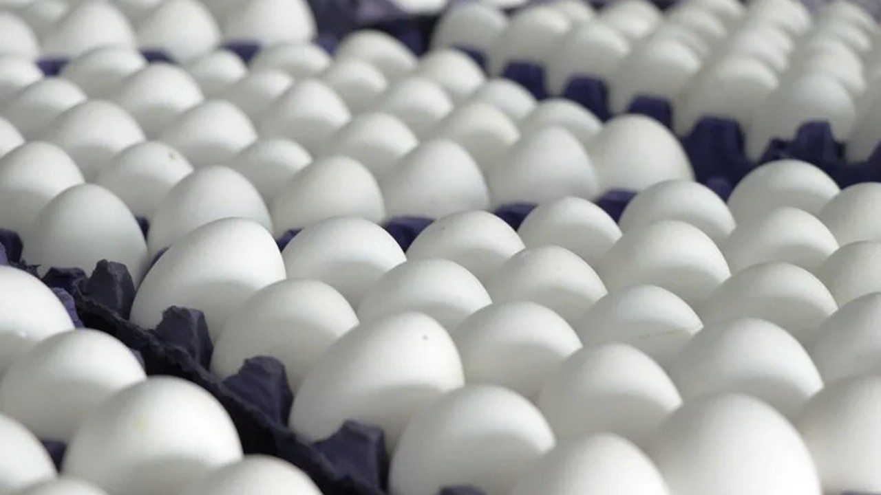 Yumurta fiyatları “mayıs çukuru“na düştü