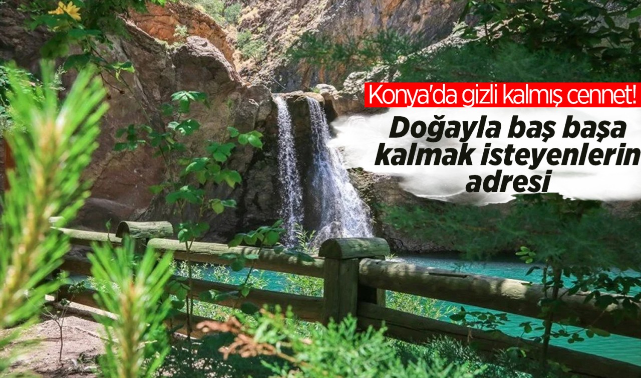Konya'da gizli kalmış cennet! Doğayla baş başa kalmak isteyenlerin adresi 