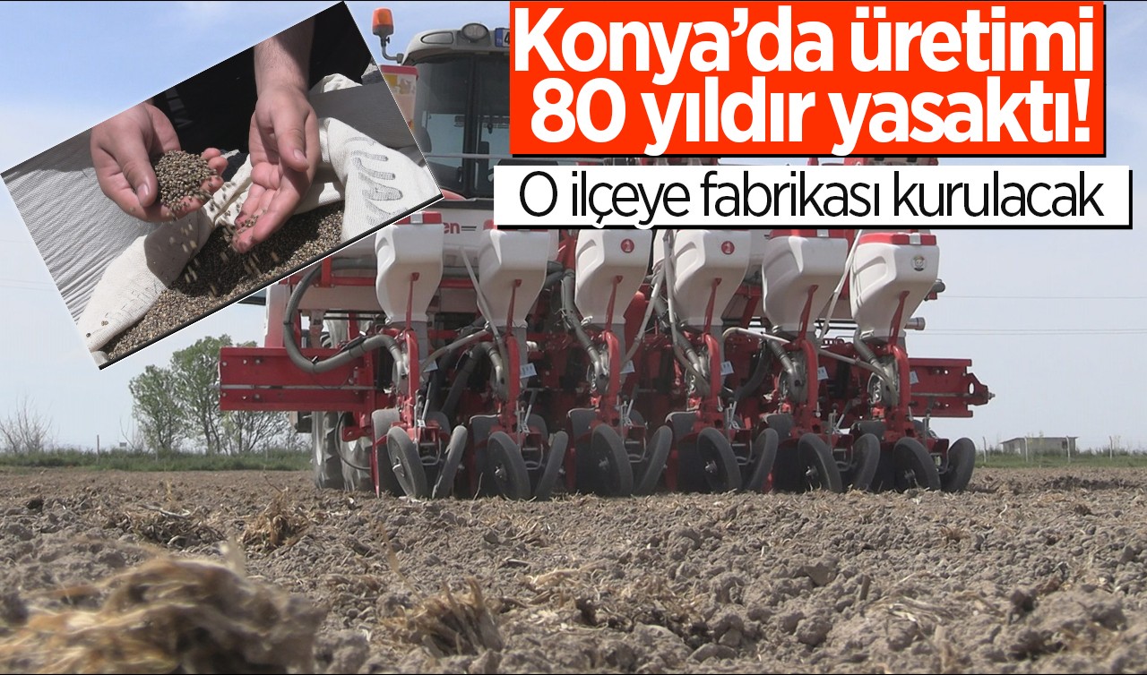 Konya’da üretimi 80 yıldır yasaktı! O ilçeye fabrikası kurulacak