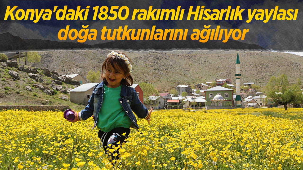 Konya'daki 1850 rakımlı Hisarlık yaylası doğa tutkunlarını ağılıyor