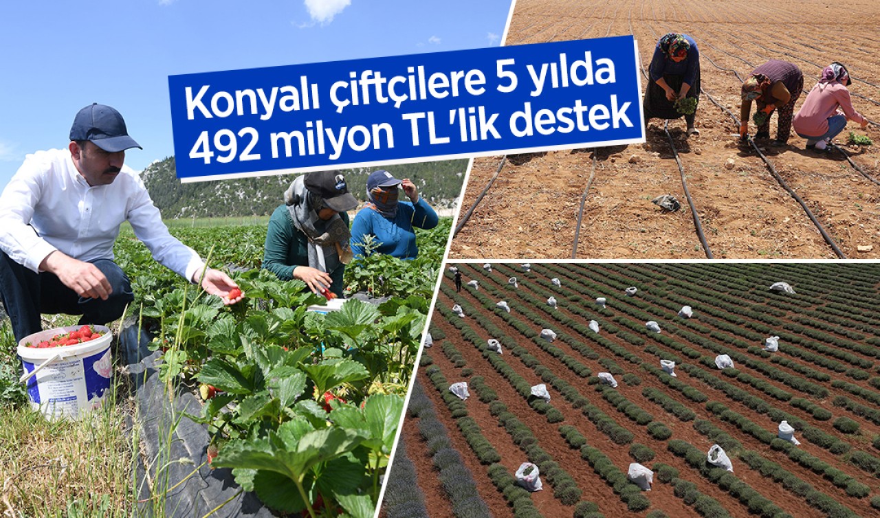  Konyalı çiftçilere 5 yılda 492 milyon TL'lik destek