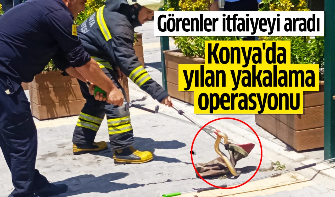 Görenler itfaiye ekiplerine haber verdi: Konya'da yılan yakalama operasyonu