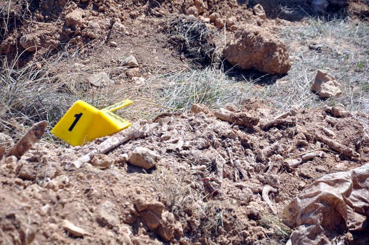 Konya'da esrarengiz olay