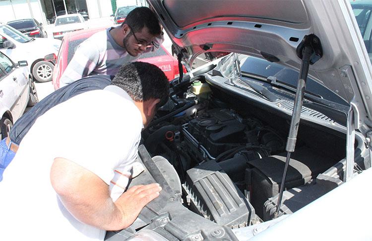 Konya'da kedi kurtarma operasyonu