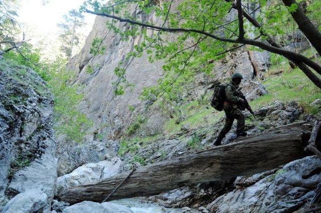Kertenkele ve kurbağa yiyerek hayatta kaldılar