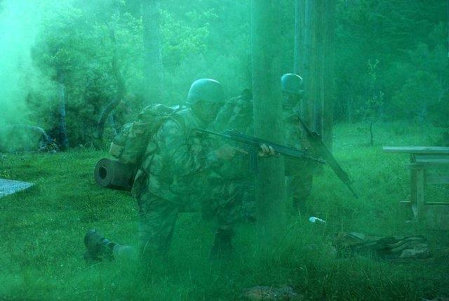 Kertenkele ve kurbağa yiyerek hayatta kaldılar