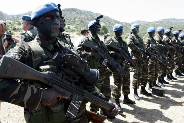 Kertenkele ve kurbağa yiyerek hayatta kaldılar