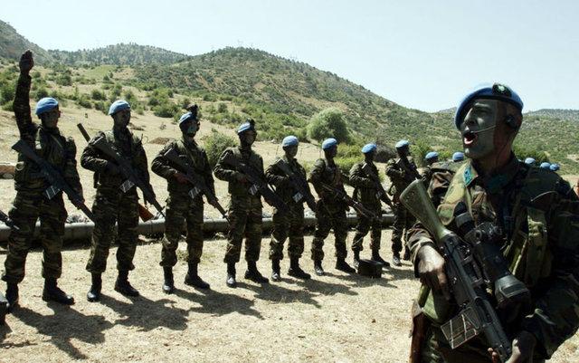 Kertenkele ve kurbağa yiyerek hayatta kaldılar