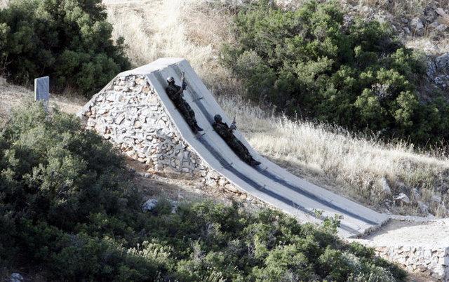 Kertenkele ve kurbağa yiyerek hayatta kaldılar