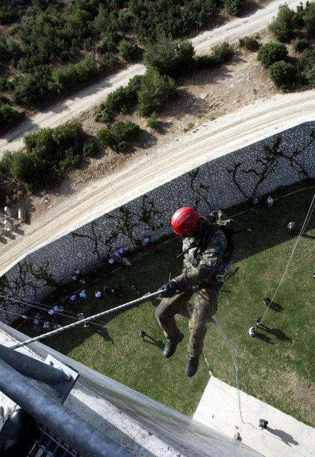 Kertenkele ve kurbağa yiyerek hayatta kaldılar