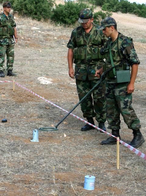 Kertenkele ve kurbağa yiyerek hayatta kaldılar