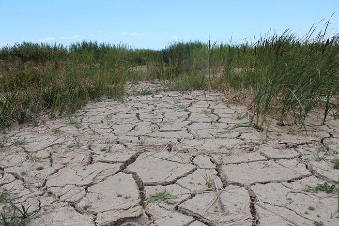 Beyşehir Gölü'nde tehlike çanları