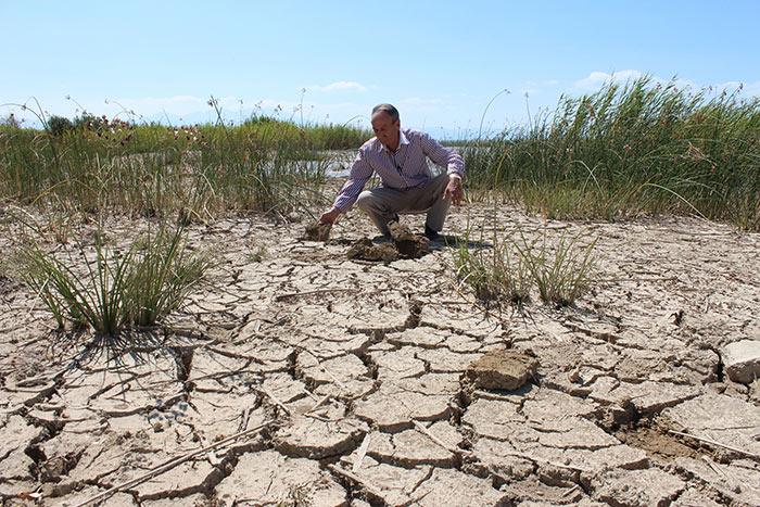 Beyşehir Gölü'nde tehlike çanları