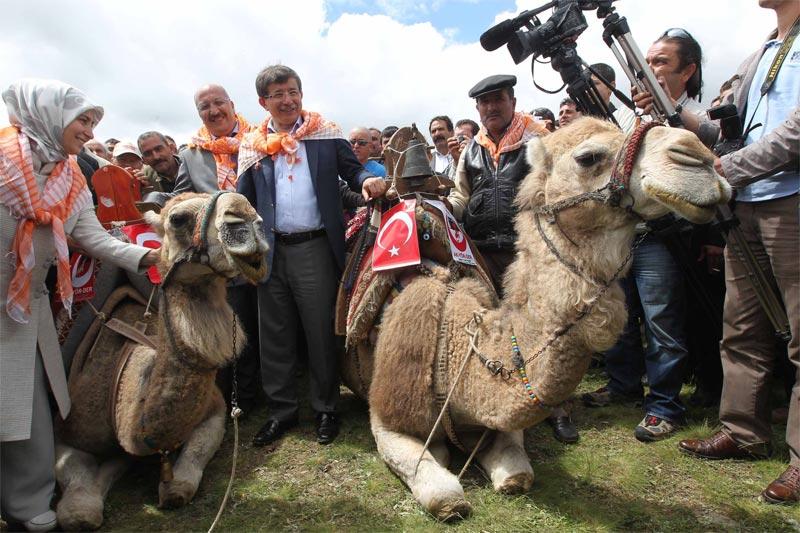 Fotoğraflarla Ahmet Davutoğlu